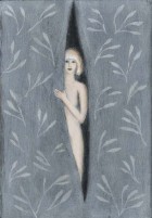 The Grey Curtains (Zaneta)